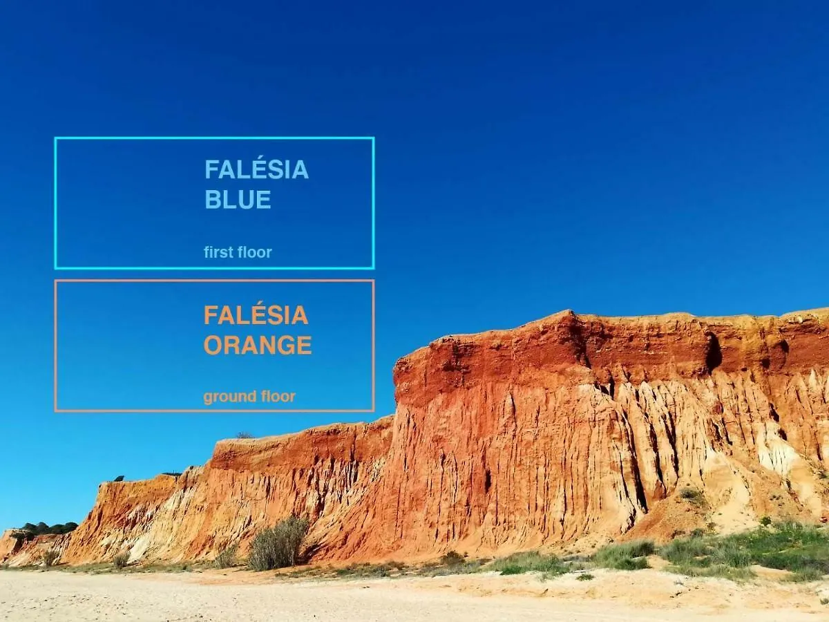Algarve Friendly Apartment contacts