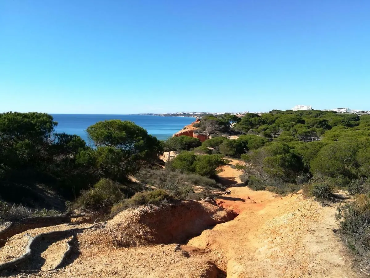 Algarve Friendly Apartment Albufeira